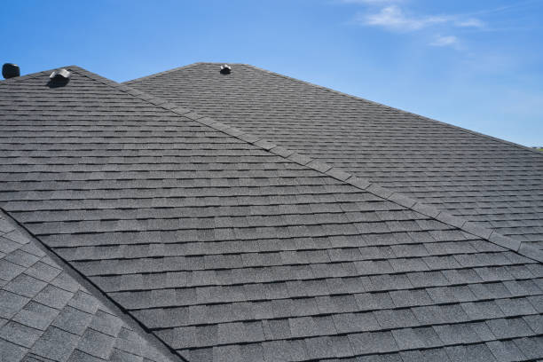 Best Roof Ventilation Installation  in The Villages, FL